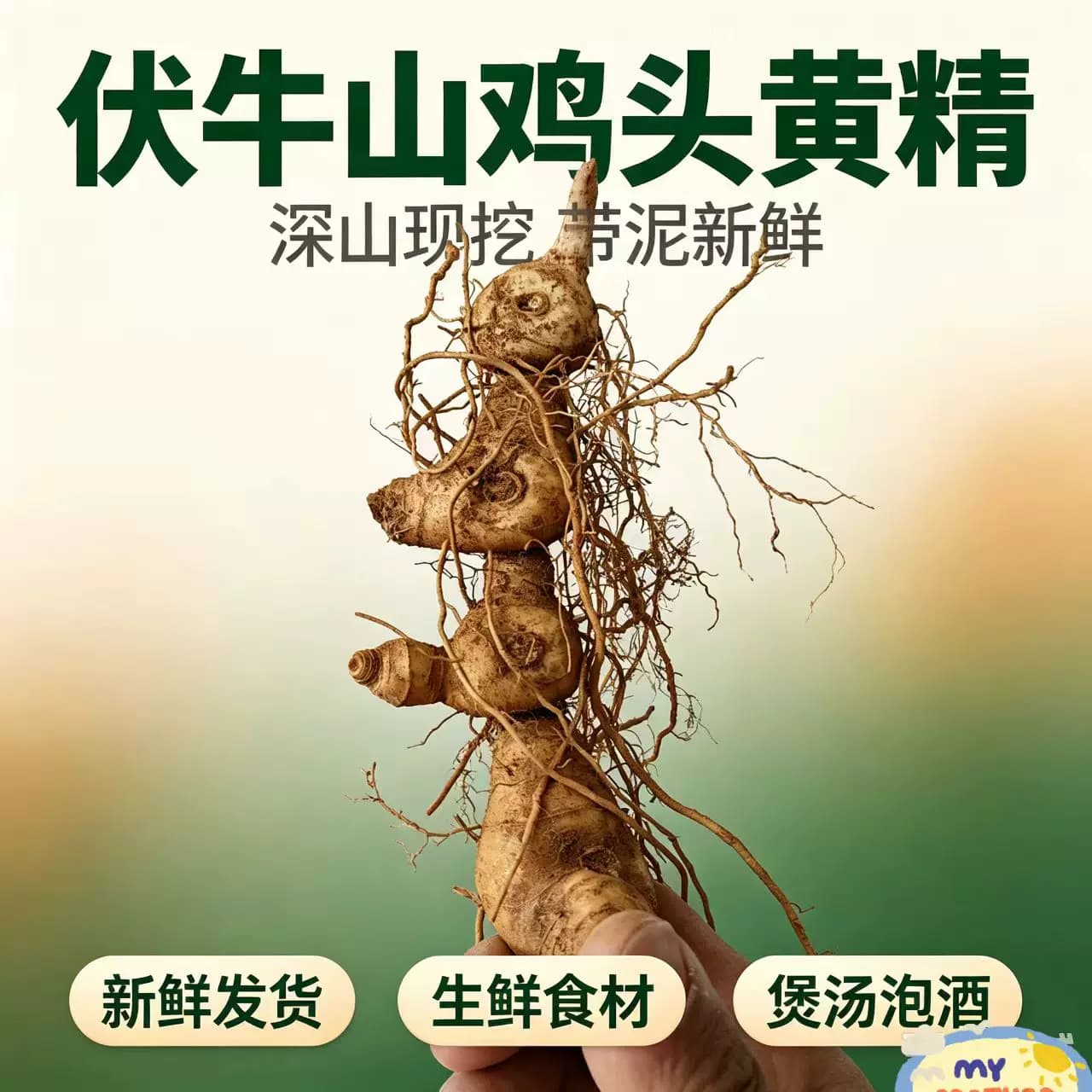 新鲜黄精现挖野生鸡头黄精九蒸九晒黄精药材黄泡茶泡酒食用鲜黄精 - 缩略图2