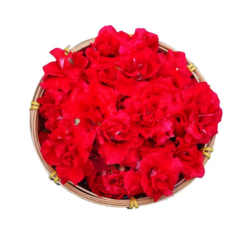 现摘白色凤仙花指甲草花染指甲花红凤仙花鲜花瓣泡醋花粉种苗 - 缩略图5