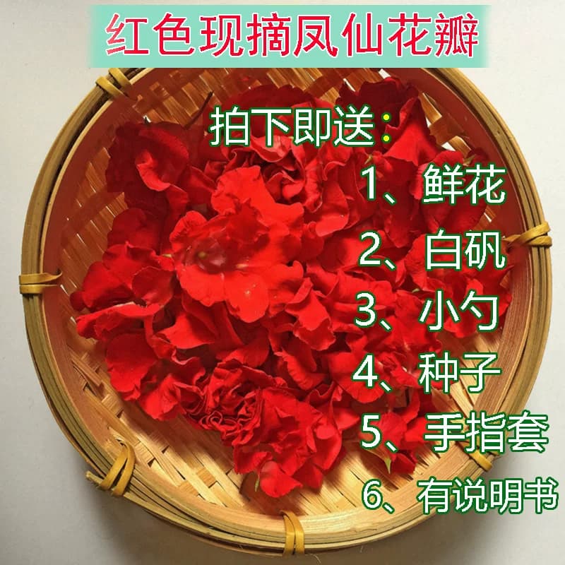 现摘白色凤仙花指甲草花染指甲花红凤仙花鲜花瓣泡醋花粉种苗 - 缩略图3