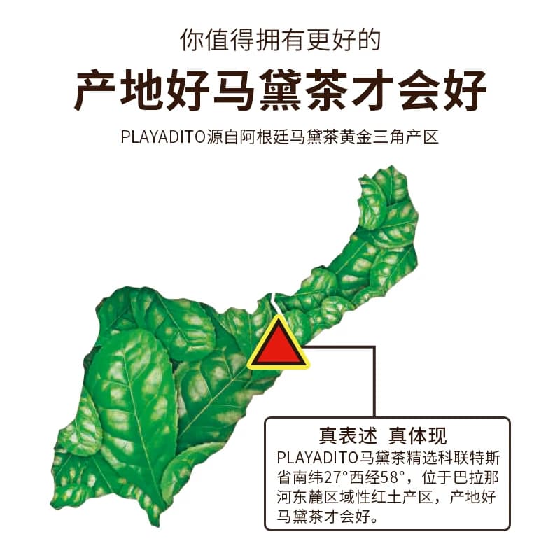 买1送专用杯 阿根廷原装进口马黛茶帕拉蒂托无梗马黛茶养生茶正品 - 缩略图2
