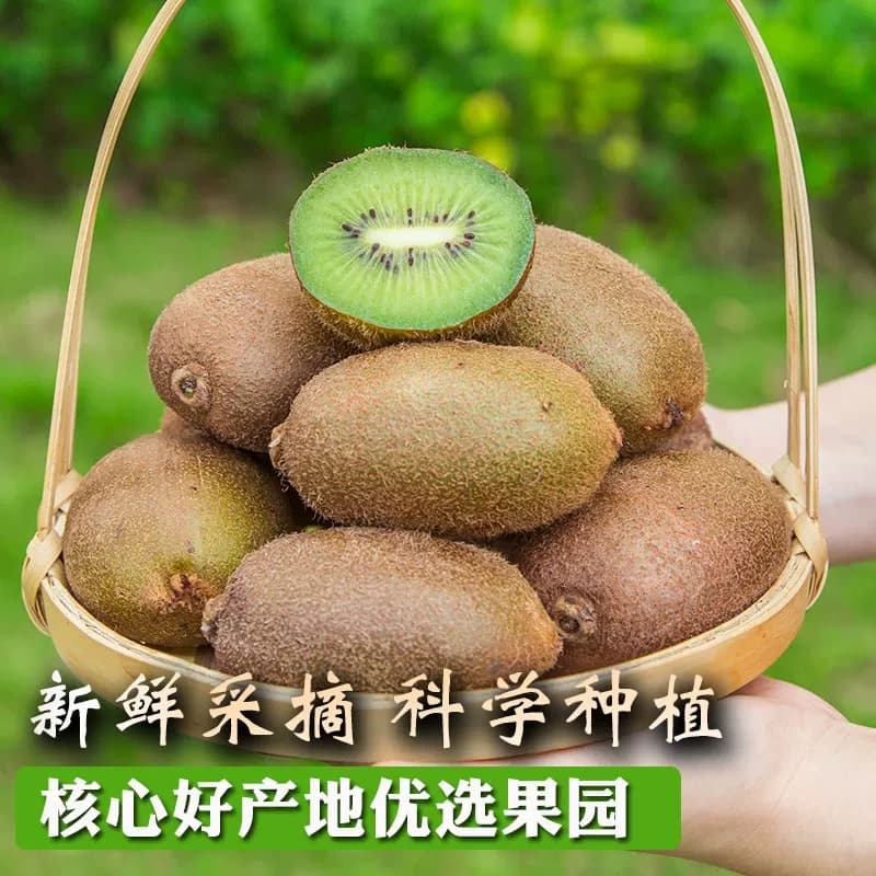 陕西翠香猕猴桃新鲜包邮水果当季整箱孕妇绿心奇异果官方旗舰店 - 缩略图5