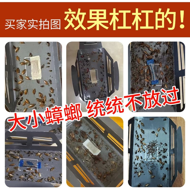 黑旋风蟑螂屋蟑螂贴强力粘家用灭蟑螂药全窝端蟑螂粘板捕捉无农药 - 缩略图5
