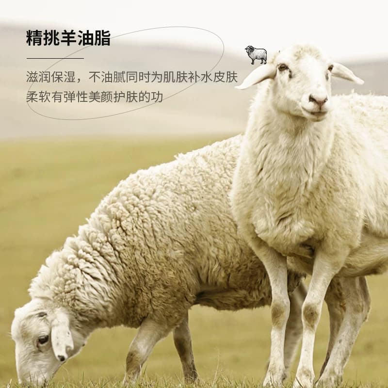 绵羊油面霜滋润秋冬香体补水保湿维E润肤露全身留香男女通用持久A - 缩略图3