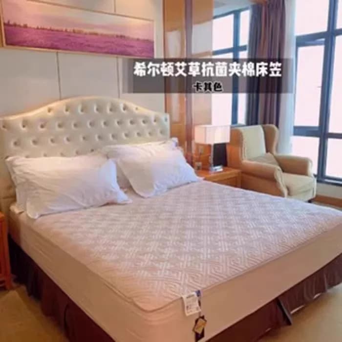 艾草床笠夹棉保护套加厚席梦思床垫保护罩防滑固定防尘床套单床笠 - 缩略图4