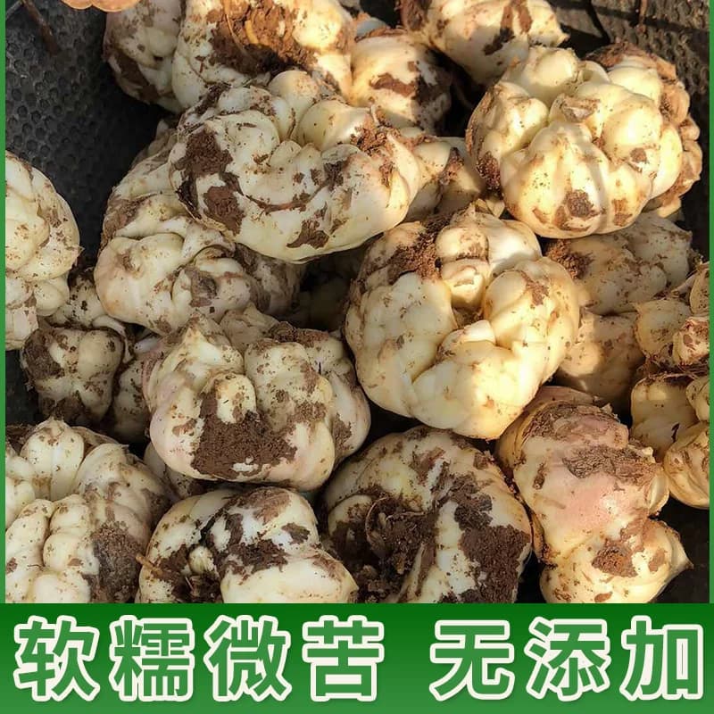 2026当季现挖宜兴新鲜大百合土特产纯农家食用无硫小白合软糯微苦 - 缩略图2