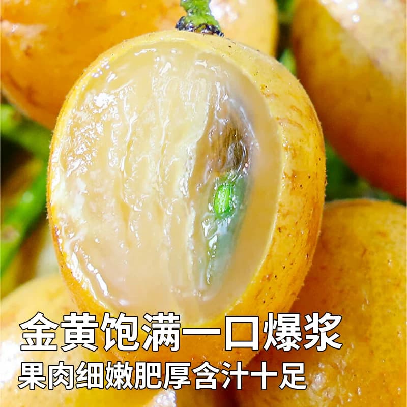 顺丰礼盒5斤冰糖鸡心黄皮果新鲜水果正宗广东黄弹子当季整箱包邮 - 缩略图3