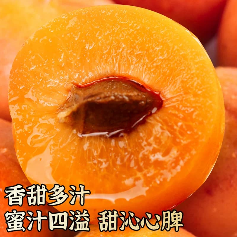 正宗新疆吊干杏小红杏子新鲜水果阿克苏当季整箱胜小白杏 - 缩略图2