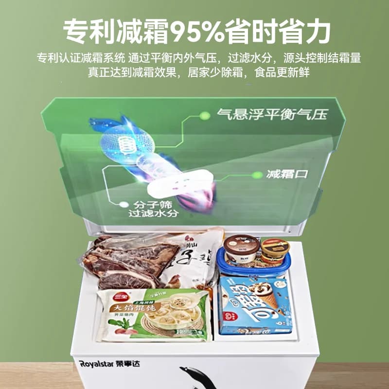 荣事达节能冰柜家用小型冷冻保鲜小冰柜冷藏小冷柜微霜卧式小冰箱 - 缩略图3