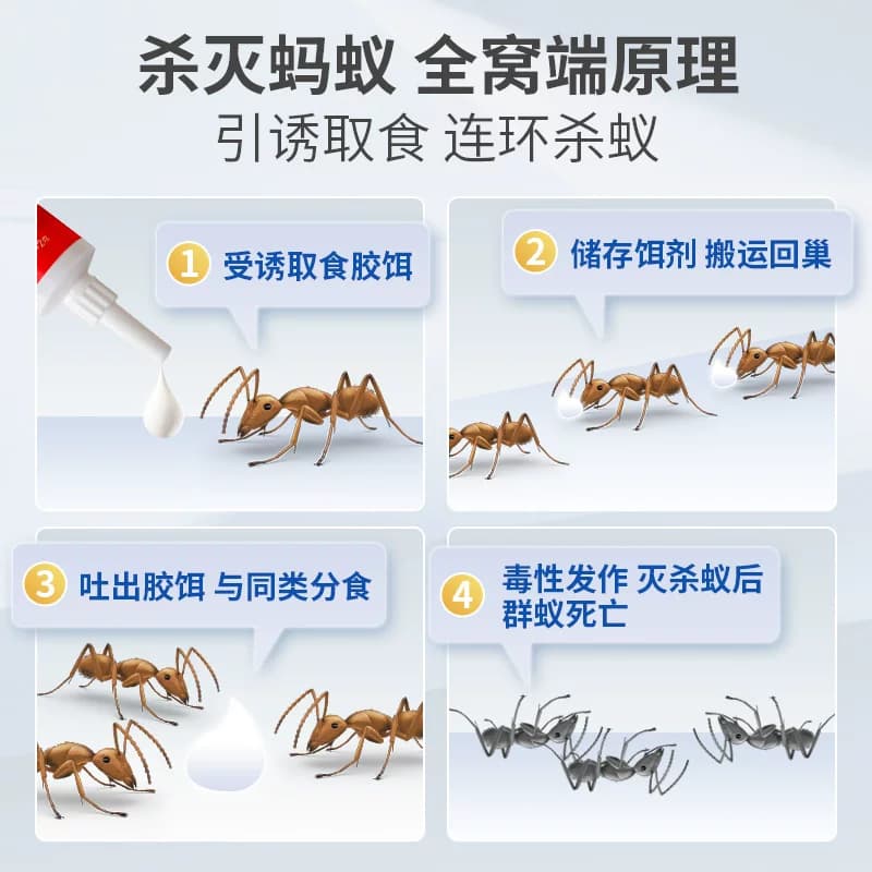 蚂蚁药一锅端室内非无毒家用杀蚂蚁饵剂楼房灭蚁胶饵专用去除蚂蚁 - 缩略图3