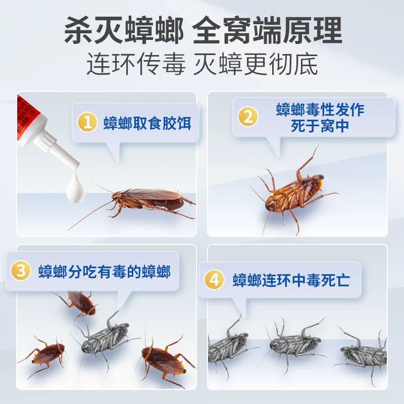家用蟑螂药全窝端灭杀蟑胶饵餐厅厨房室内缓释驱蟑诱杀小强10g20g - 缩略图2