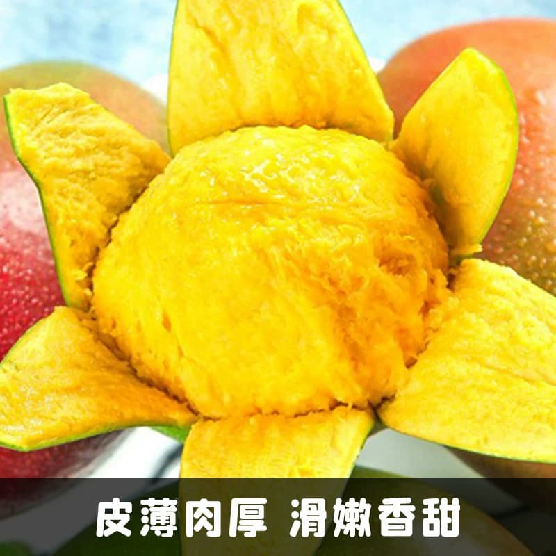 精品凯特芒果四川攀枝花新鲜现摘大水果香甜多汁包邮 - 缩略图5