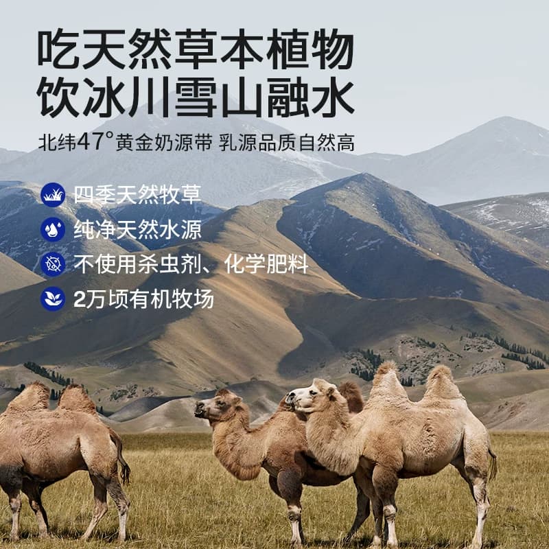 谷掌柜100%有机新疆新鲜正宗全脂骆驼奶粉纯骆驼奶粉新疆正品 - 缩略图3