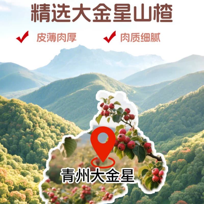 爱立维山楂棒棒糖葫芦添加益生元婴儿幼儿童无添加糖健康宝宝零食 - 缩略图5