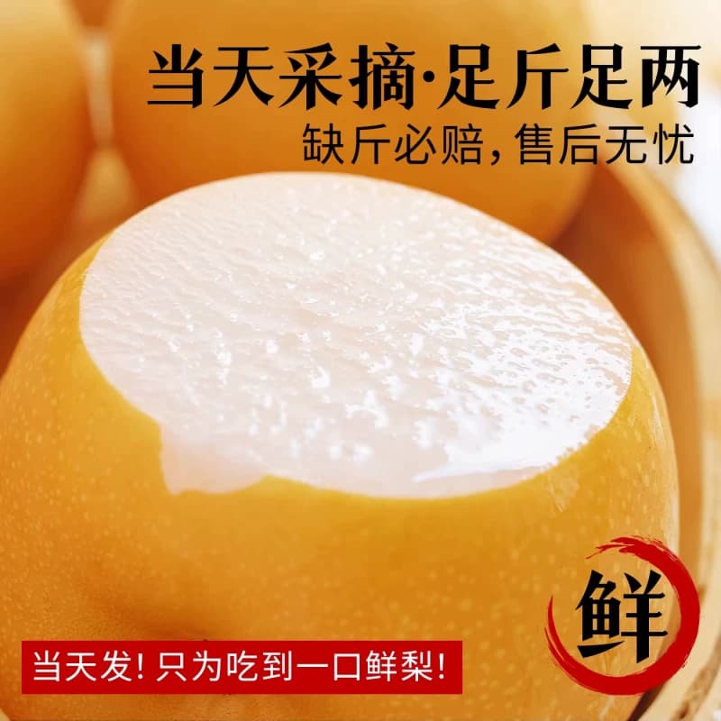 正宗丰水梨秋月梨现摘现发水果新鲜当季冰糖雪梨子大果整箱包邮 - 缩略图3