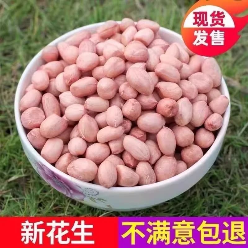 花生米生新河南新货2026年大颗粒农家新鲜花生仁大粒散装食用油炸 - 缩略图3