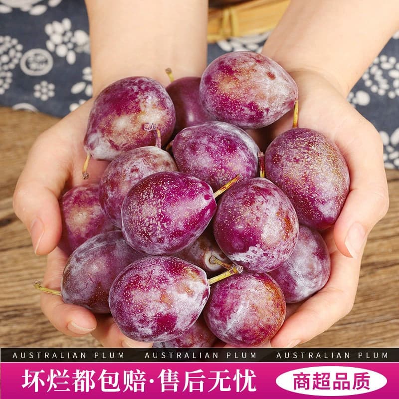 正宗新疆甜西梅大果当季新鲜水果正品法兰西脆甜西梅整箱李子包邮 - 缩略图5