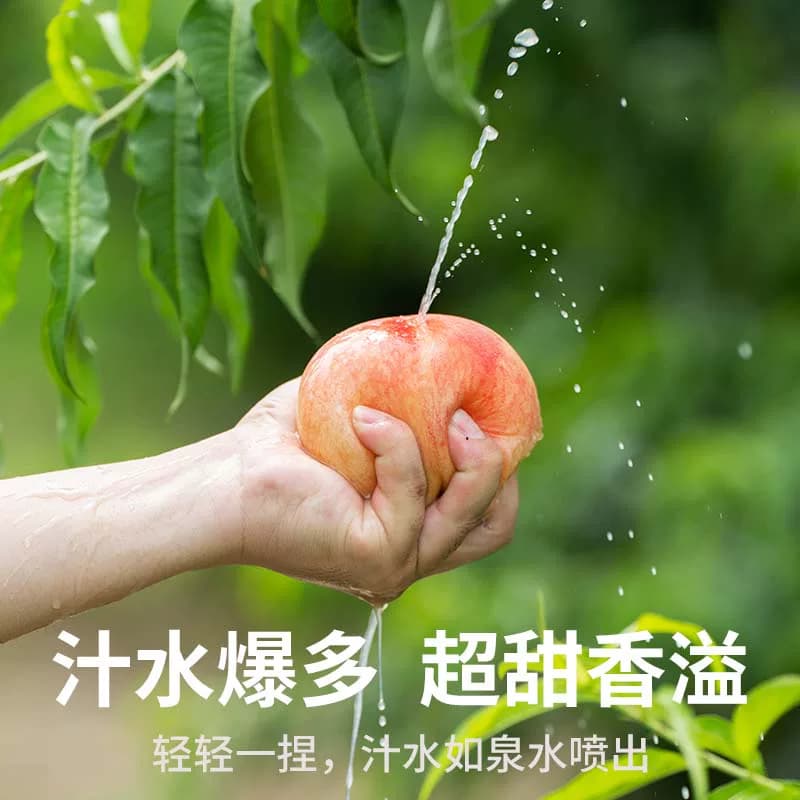 【交个朋友】正宗无锡阳山水蜜桃新鲜孕妇水果白凤湖景桃子提货券 - 缩略图4