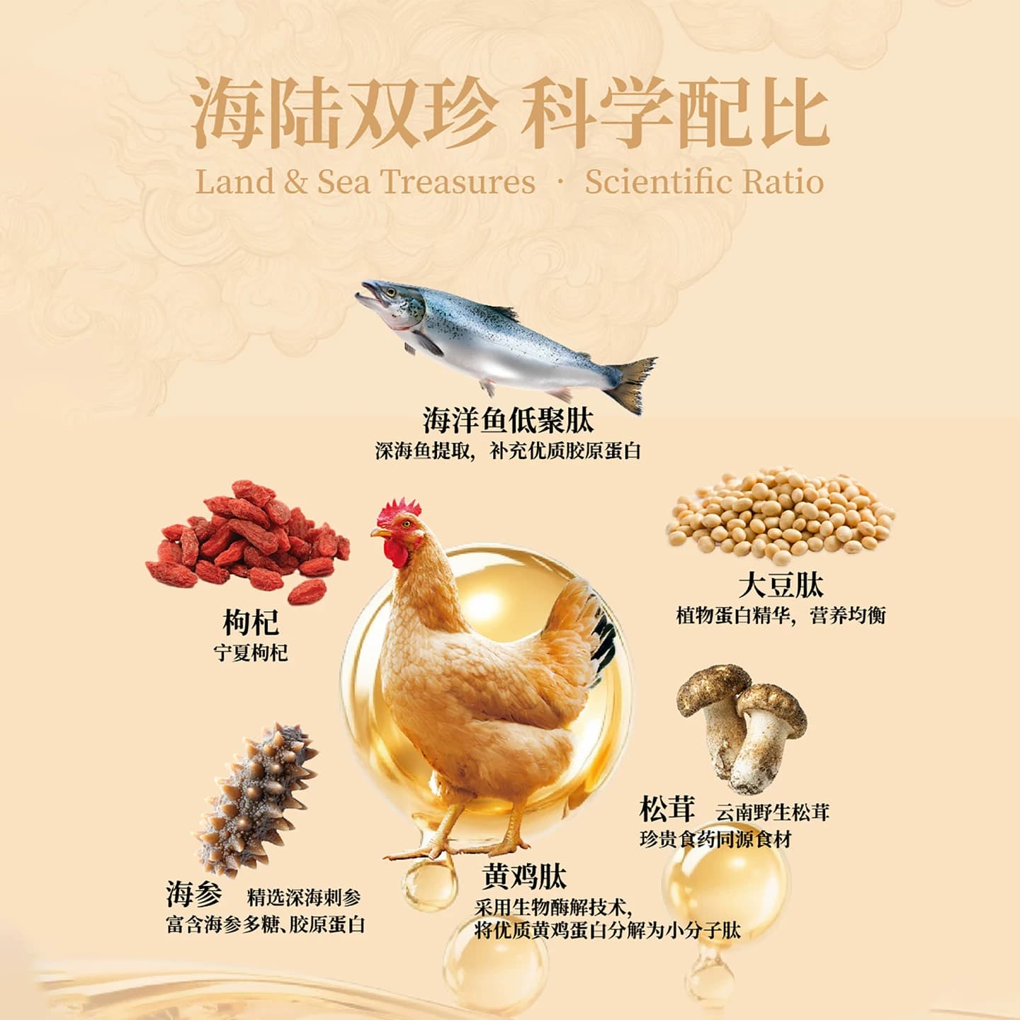 江太滋黄鸡低聚肽术后产后机能恢复滋补品老人营养品高蛋白营养补 - 缩略图3
