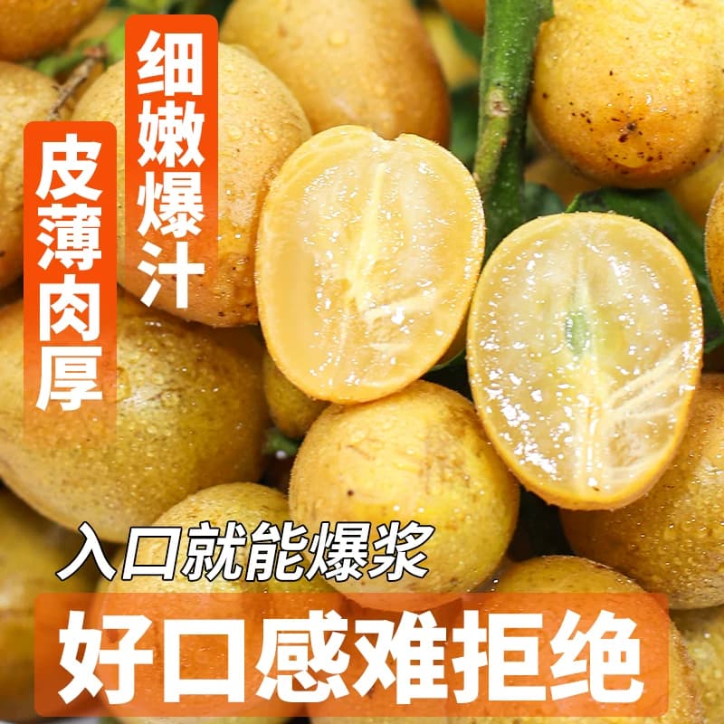 树上熟 顺丰广东正宗鸡心黄皮果5斤大果新鲜当季现摘冰糖黄弹子 - 缩略图5
