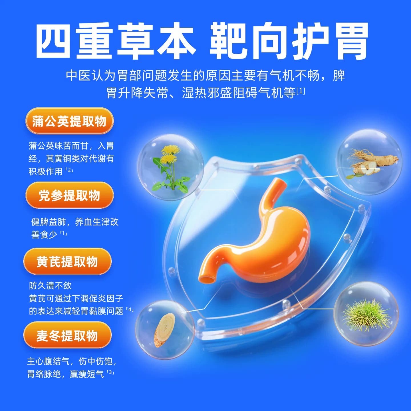 黄金搭档蒲公英党参片辅助保护胃粘膜成人胃部调理保健官方正品 - 缩略图4
