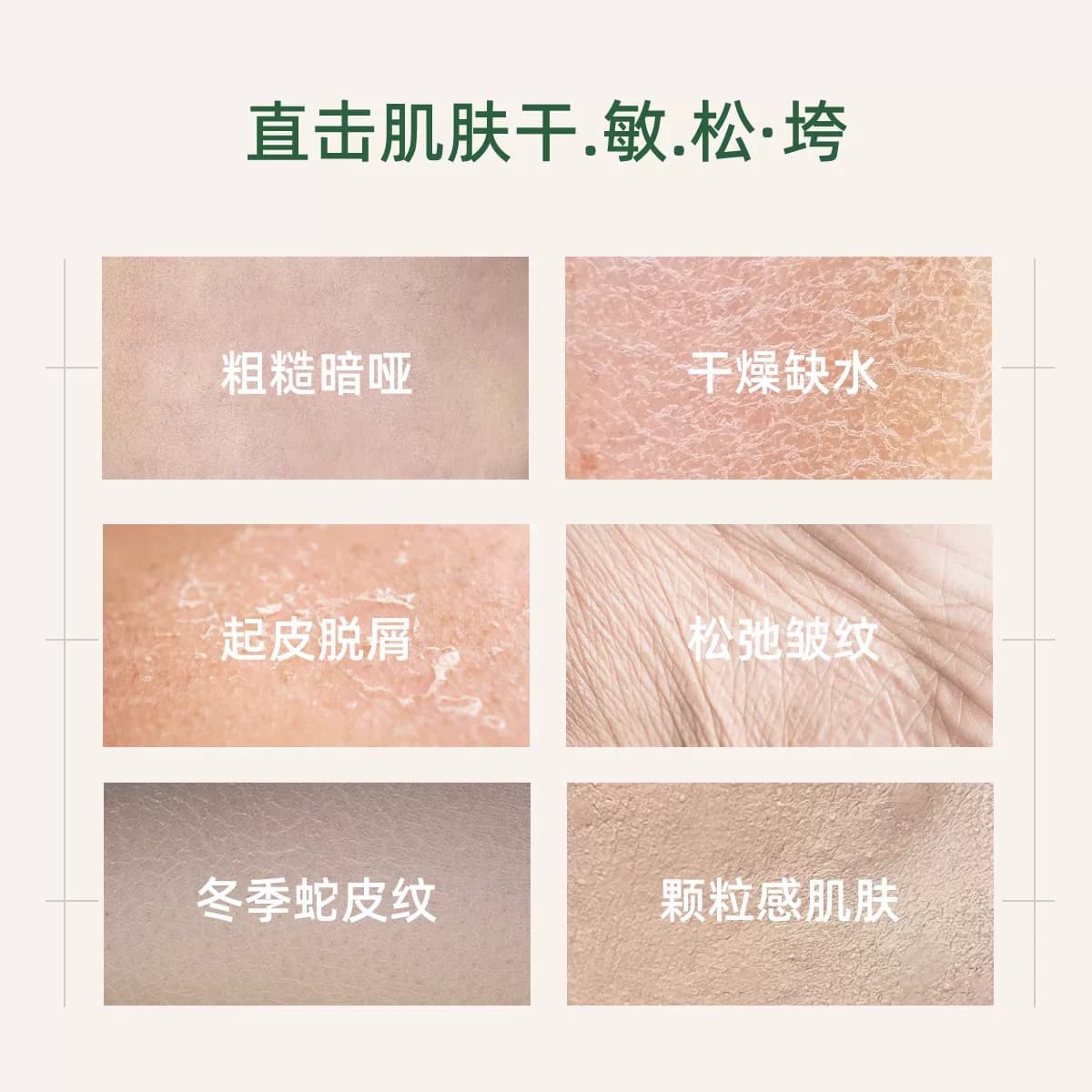 SmartDaily淳存柚子叶多肽紧致身体乳柚子香味保湿提亮不油腻 - 缩略图5