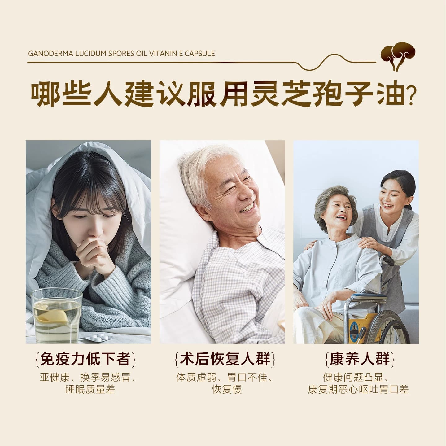 御沁品灵芝孢子油软胶囊10瓶装灵芝油增强免疫力中秋送礼升级版 - 缩略图4