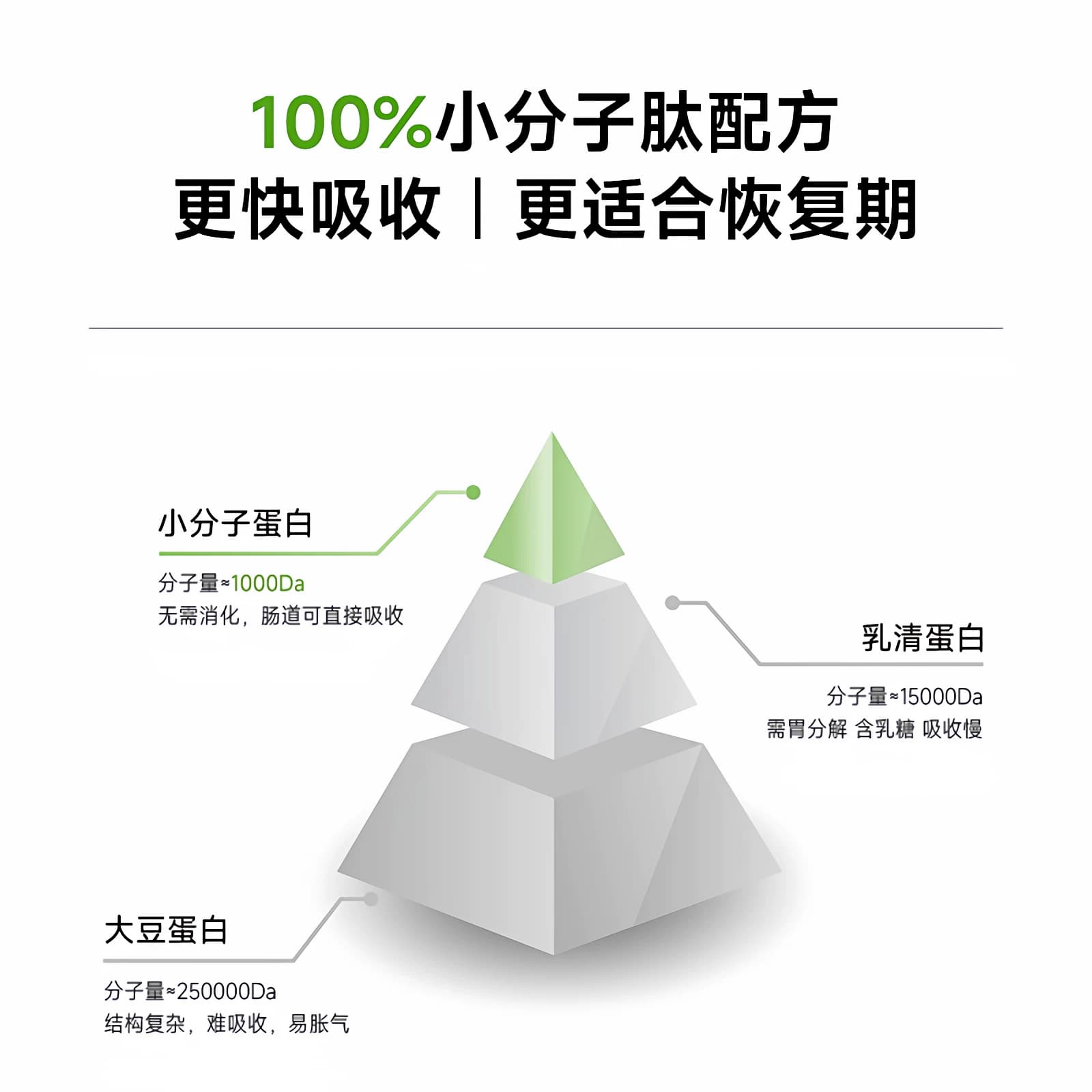 REVITAMAX睿维达RP-100蛋白粉 小分子肽高蛋白无糖术后恢复营养品 - 缩略图3