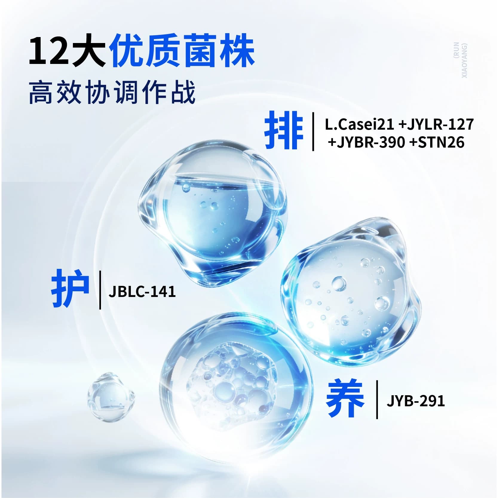 润小养益生菌养胃粉成年大人肠胃男女通用孕妇活性冻干粉便携 - 缩略图3