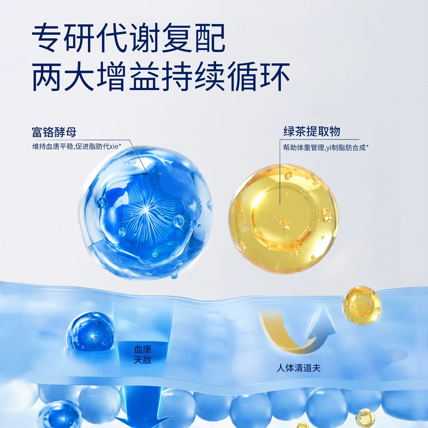 WELLMOLY维魔力300亿AKK益生菌体重身材管理瘦子菌控制食欲非B420 - 缩略图4