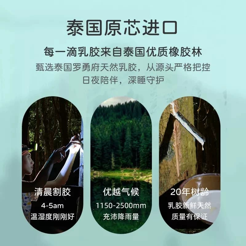 THAIAO泰国乳胶枕原装内芯护颈透气宿舍成人睡眠枕正宗橡胶颈椎枕 - 缩略图2