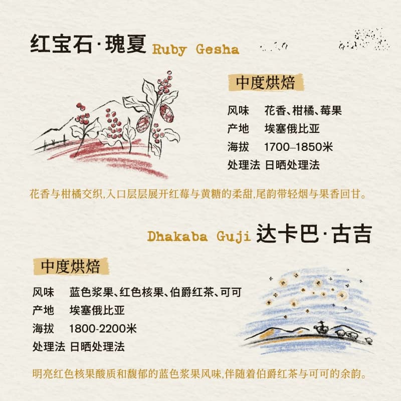 Ora单一产地风味巡礼挂耳组合手冲挂滤式咖啡皮爷同款烘焙200g - 缩略图3