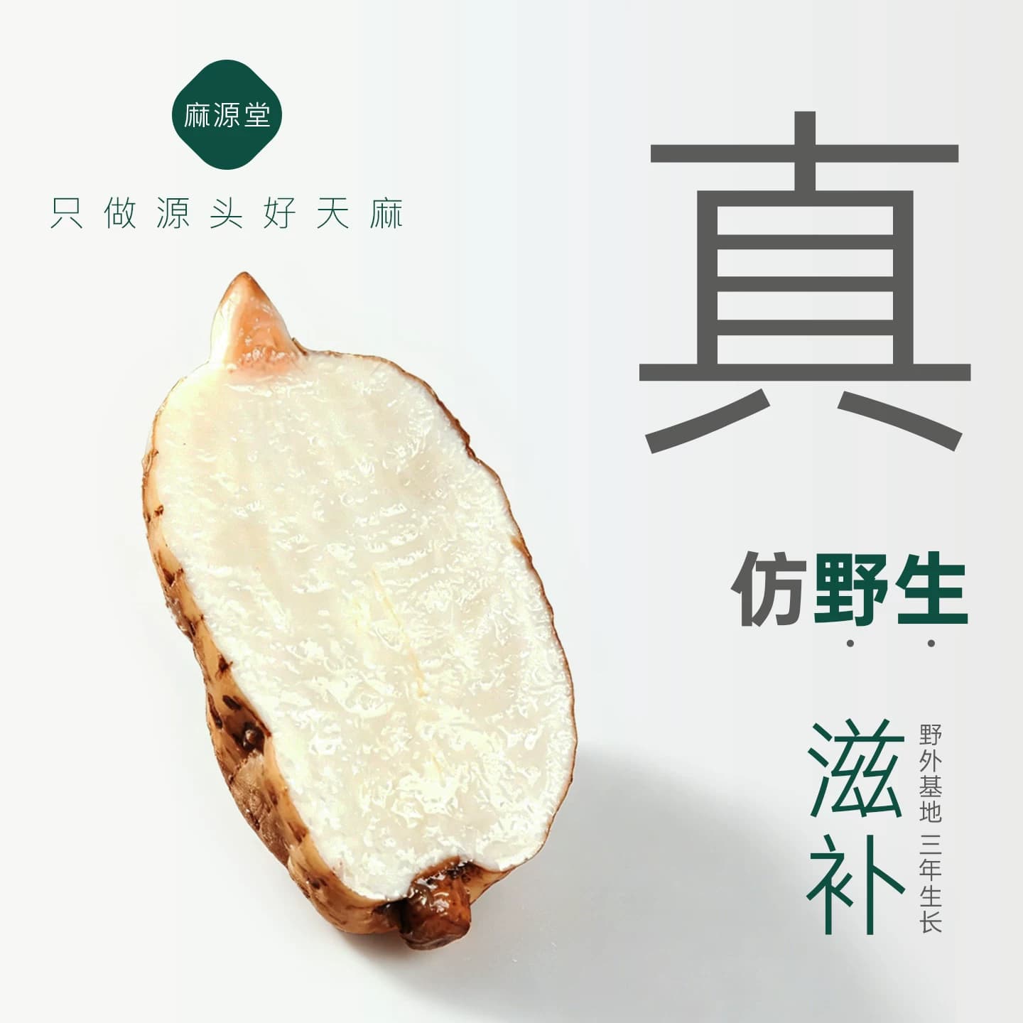 新鲜天麻云南昭通乌天麻正宗小草坝新鲜天麻中药材正品官方旗舰店 - 缩略图4