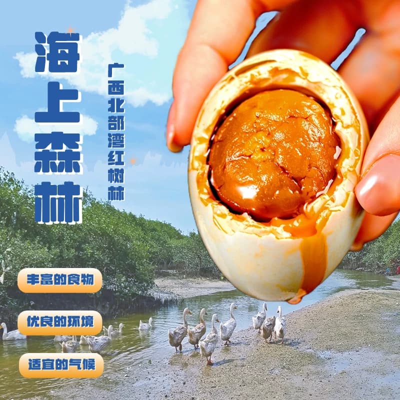 广西北海红树林海鸭蛋北部湾特产烤海鸭蛋咸鸭蛋正宗流油整箱即食 - 缩略图2