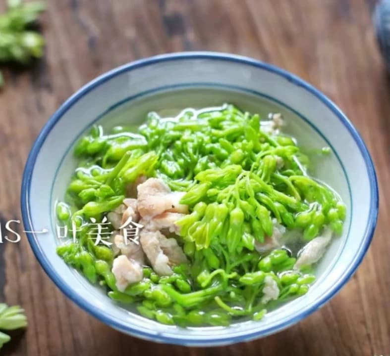 食用夜香花千里香夜兰花阳台楼顶爬藤植物   广西南宁基地直发 - 缩略图3