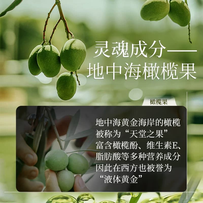 仙维娜橄榄去屑柔顺洗发水持久留香清爽控油洗发露洗头膏男女正品 - 缩略图4