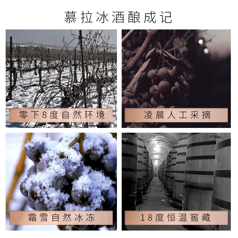 慕拉双支冰酒女士甜酒雷司令冰白冰红葡萄酒500ml*2 - 缩略图2