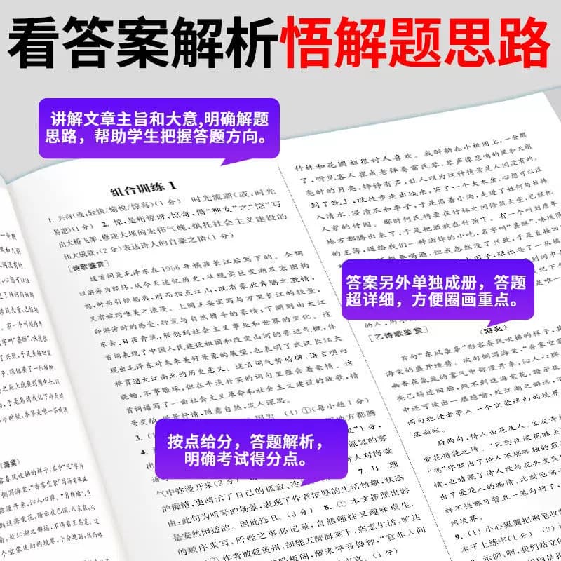 2026适用初中语文英语阅读组合训练七八九年级上下册江苏专版 初一二三英语练习册训练完形填空阅读理解专项训练现代文言文知识 - 缩略图4