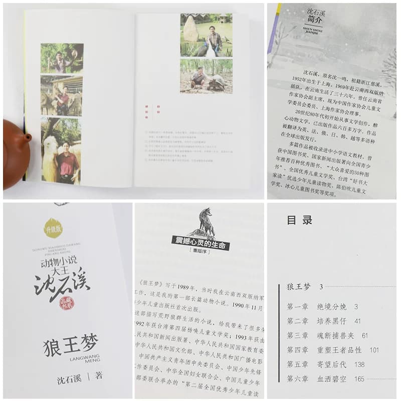 狼王梦沈石溪正版动物小说品藏书系 最后一头战象斑羚飞渡第七条猎狗残狼灰满混血豺王雪豹悲歌第七条猎狗 自传小时候路要靠自己走 - 缩略图3