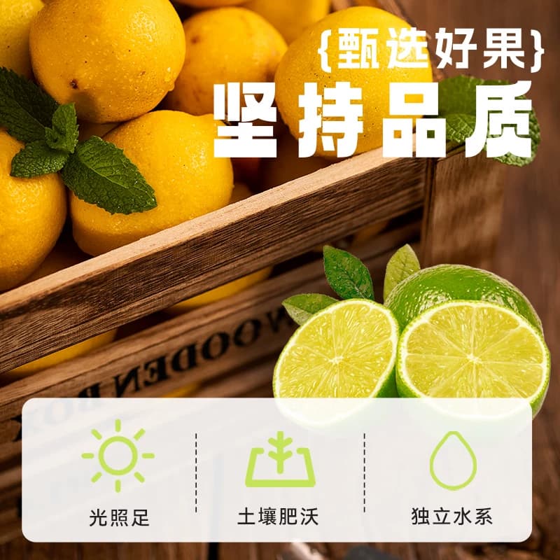 汇源100%橙汁1L盒装果汁饮料葡萄苹果桃子汁水果味饮品整箱 - 缩略图3