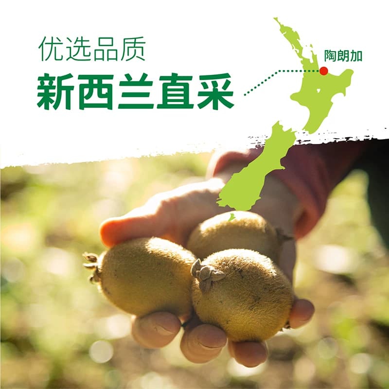 佳沛新西兰绿奇异果特大果新西兰进口绿心猕猴桃绿果当季健身辅食 - 缩略图3