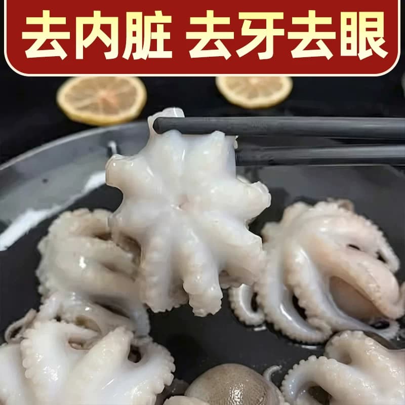 八爪鱼鲜活海鲜小章鱼水产新鲜爆头短腿八抓鱼冷冻迷你去内脏商用 - 缩略图2