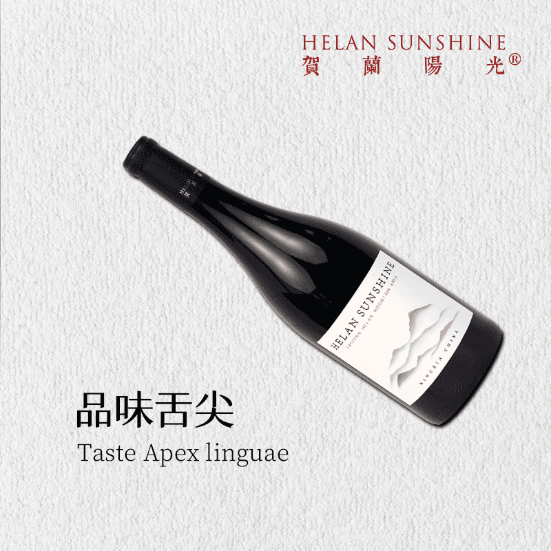 柏阁【贺兰阳光】精选半甜型红葡萄酒 清爽细腻日常 13%VOL葡萄酒 - 缩略图5