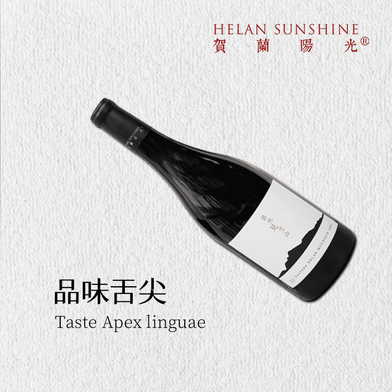 【贺兰阳光】宁夏贺兰山东麓产区 山海干红葡萄酒整箱装 精品佳酿 - 缩略图5