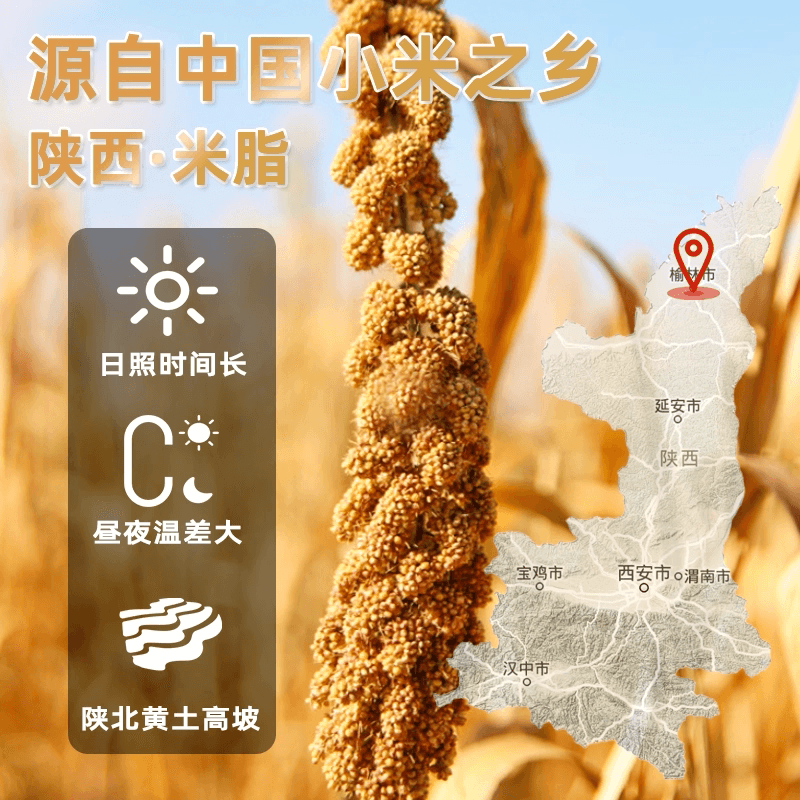 【芭芭农场兑换专享】米益康黄小米1KG - 缩略图2