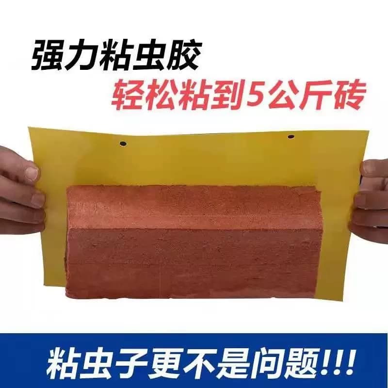 黄板双面粘虫板大棚专用小黑飞果蝇诱捕器诱虫板贴纸农用家用花园 - 缩略图3