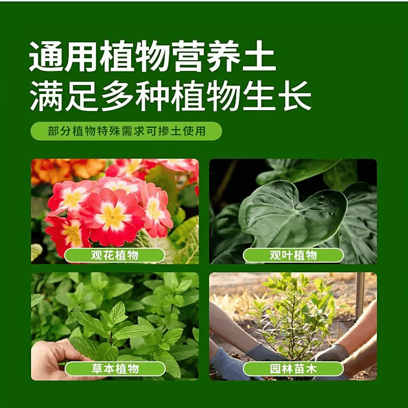 营养土养花通用型家用种花专用土多肉土壤种植花土泥炭种菜土酸性 - 缩略图5