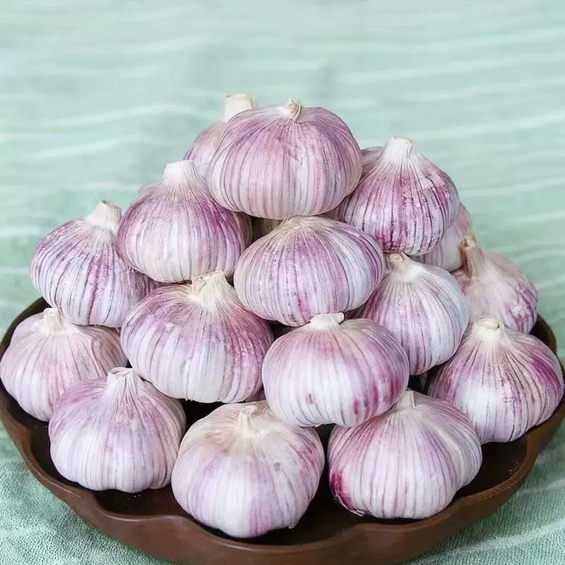 山东金乡原产地直发大蒜当季大蒜头干货炒菜调味辛辣味浓郁 - 缩略图4