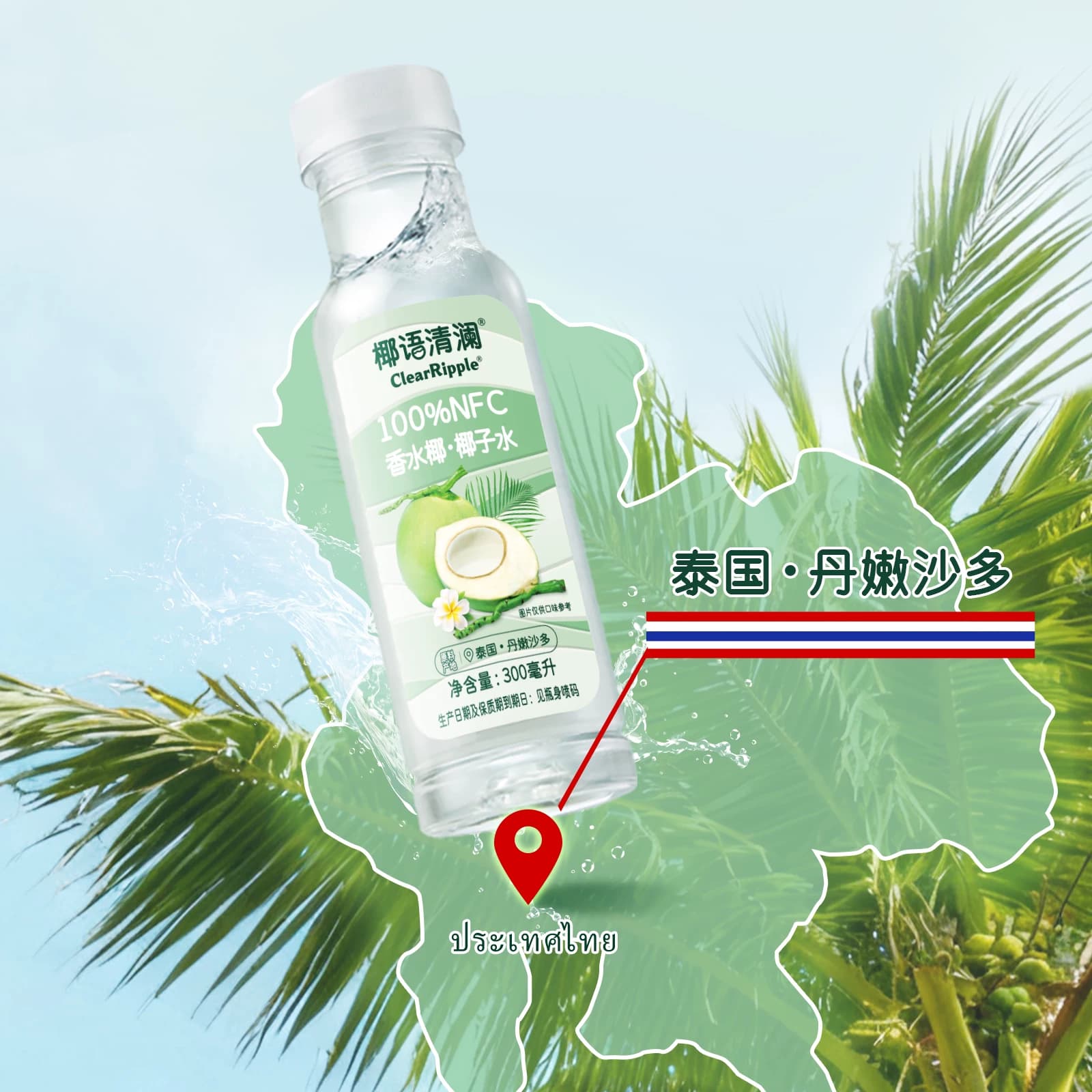 【1瓶】椰语清澜椰子水 - 缩略图3