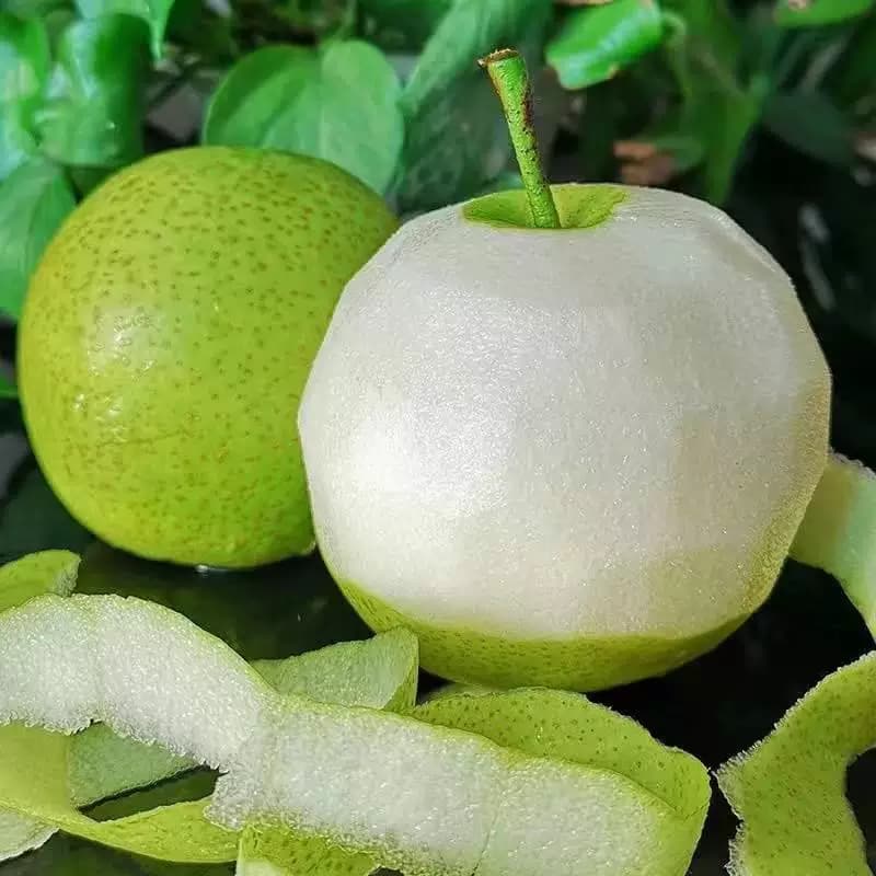 芭芭农场兑换专享青皮蜜梨3斤200g梨子新鲜水果砀山青梨酥脆自提 - 缩略图2