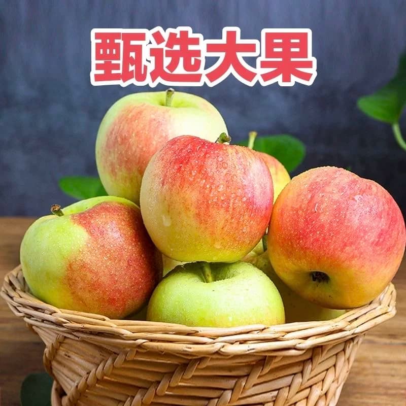 芭芭农场兑换陕西嘎啦苹果2.5斤装单果65mm多汁新鲜自提脆甜种植 - 缩略图2